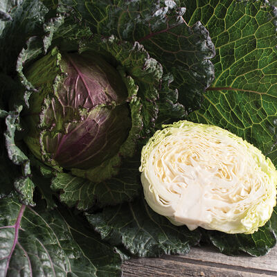 Deadon Fresh Market Cabbage