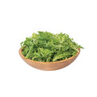 Tambay Summer Crisp Lettuce (Batavia)