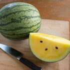 Sureness Diploid Watermelons