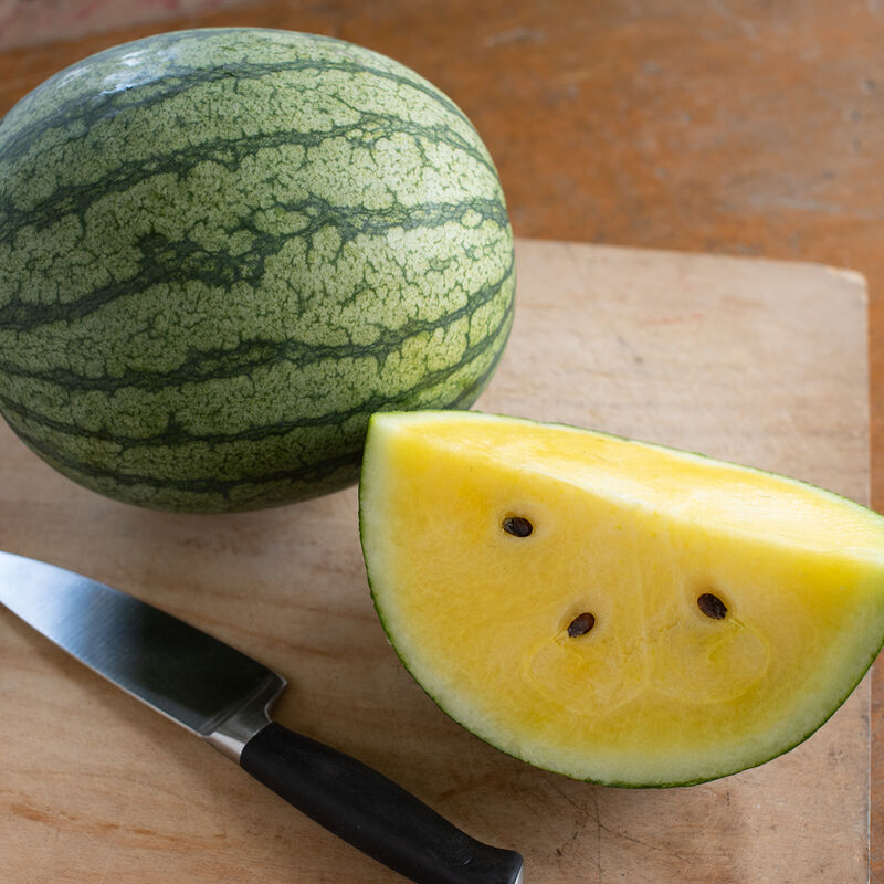Sureness Diploid Watermelons