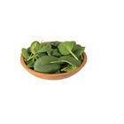 Tatsoi Asian Greens