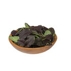 Red Kingdom Asian Greens