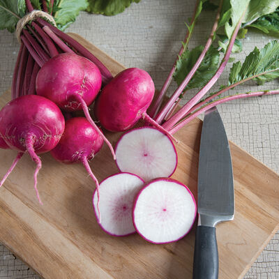 Scarlet Queen Red Stems Scarlet Queen Red Stems Turnips