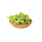 Green Saladbowl Oakleaf Lettuce