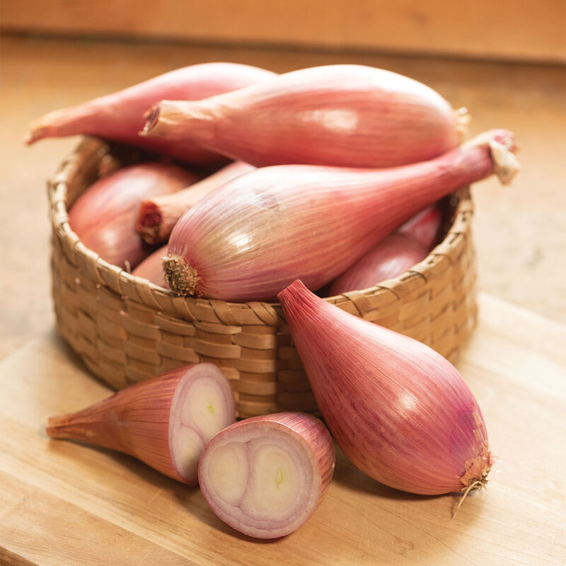 Zebrune Shallot Onion Seeds