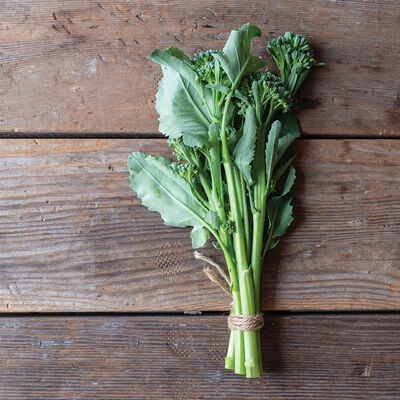 Bella Verde Mini Broccoli