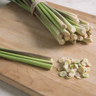 Lemon Grass, East Indian (Cleaned Seed) Lemon Grass, East Indian (Cleaned Seed) Lemon Grass