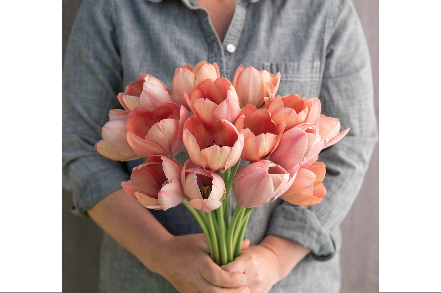 Flower Varieties in Shades of Peach | Johnny's Selected Seeds