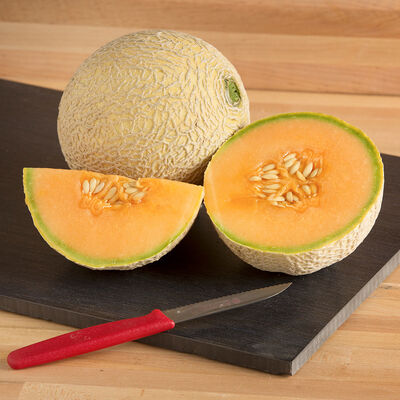 Sugar Cube Sugar Cube Cantaloupe (Muskmelon)