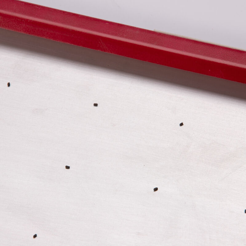 Seed Plate B36 Seed Starting Supplies