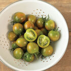 Green Bee Specialty Tomatoes
