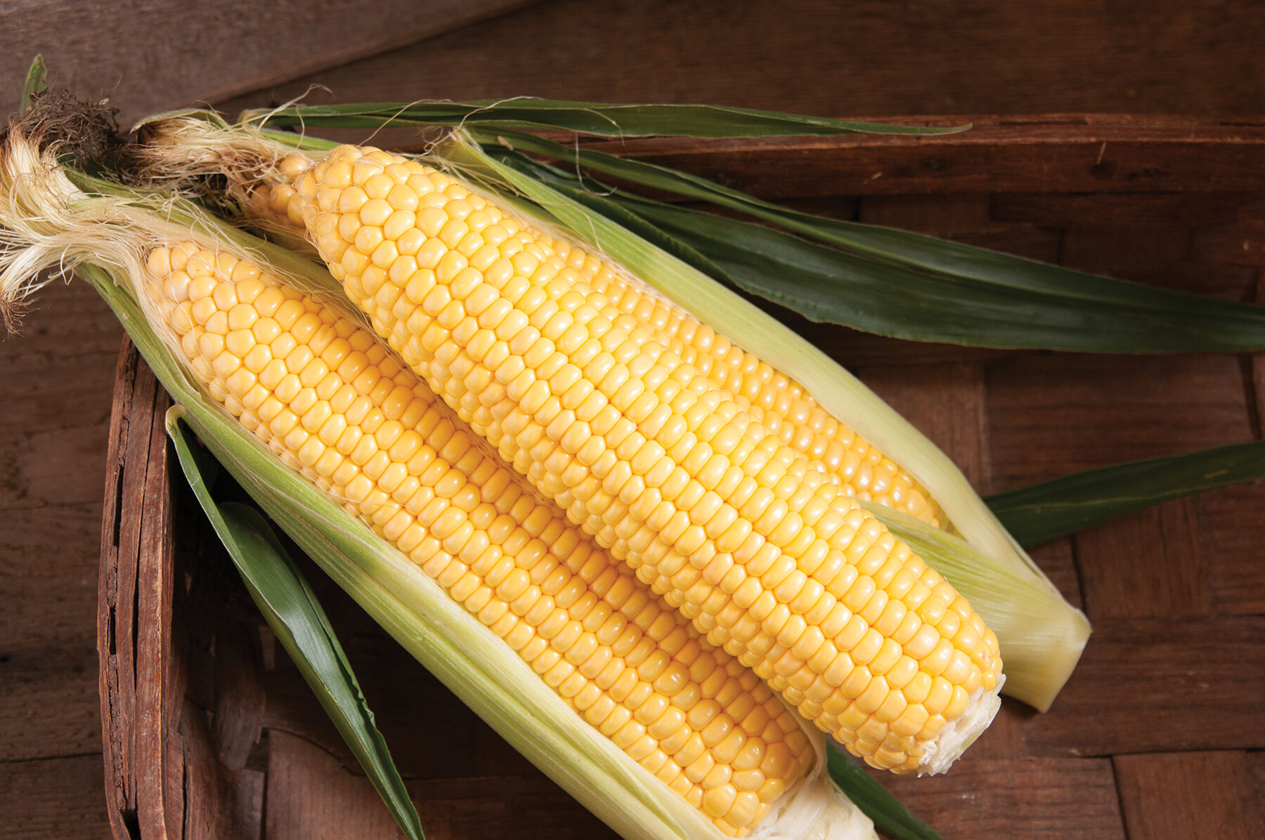 SS3778R Corn