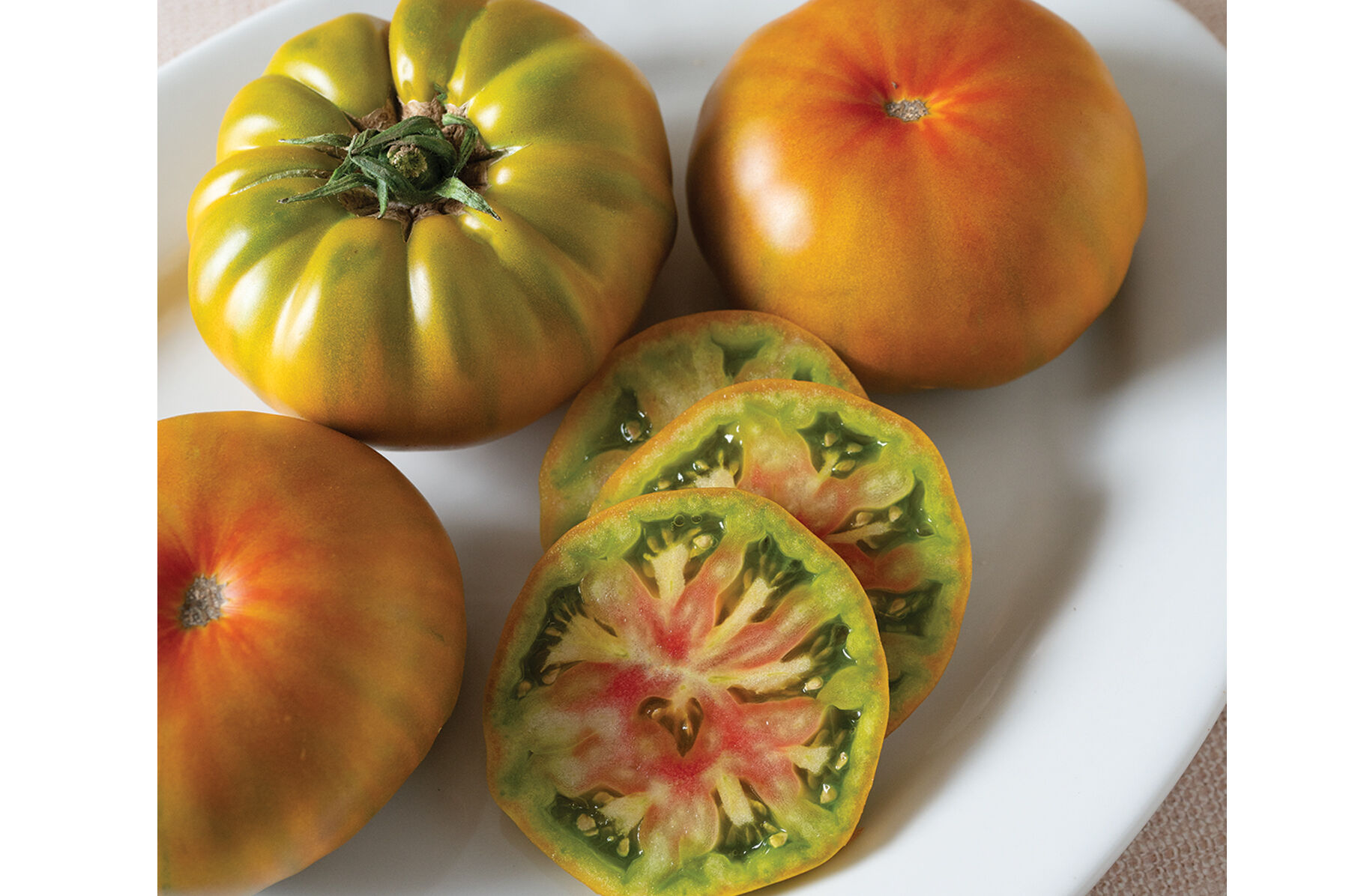 タイムセール 半額 Tomato (F1) Organic - Woodstock Seed Seeds Selected Johnny's | その他