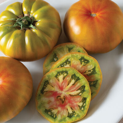 Woodstock Specialty Tomatoes