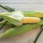 Essence Essence Sweet Corn