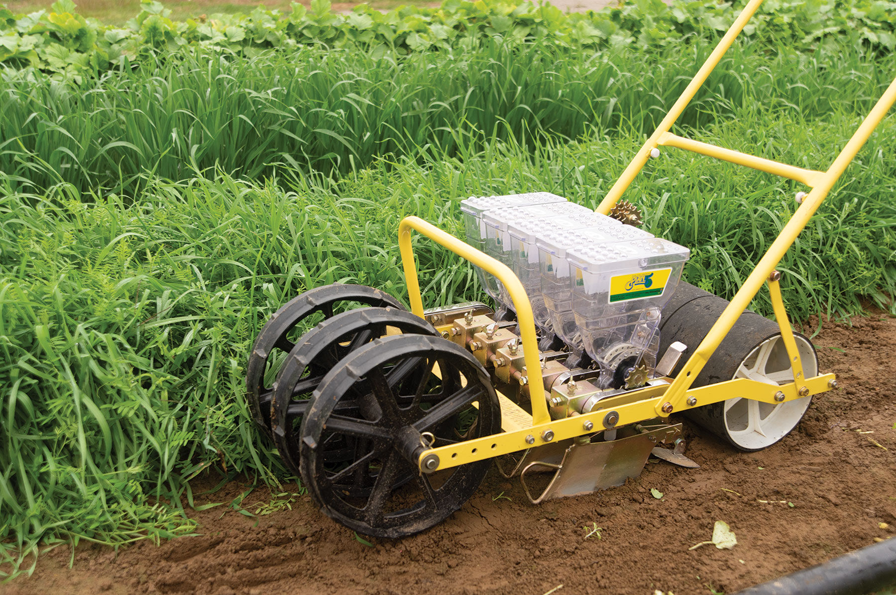 Jang JP-5 Five-Row - Push Seeder | Johnny's Selected Seeds