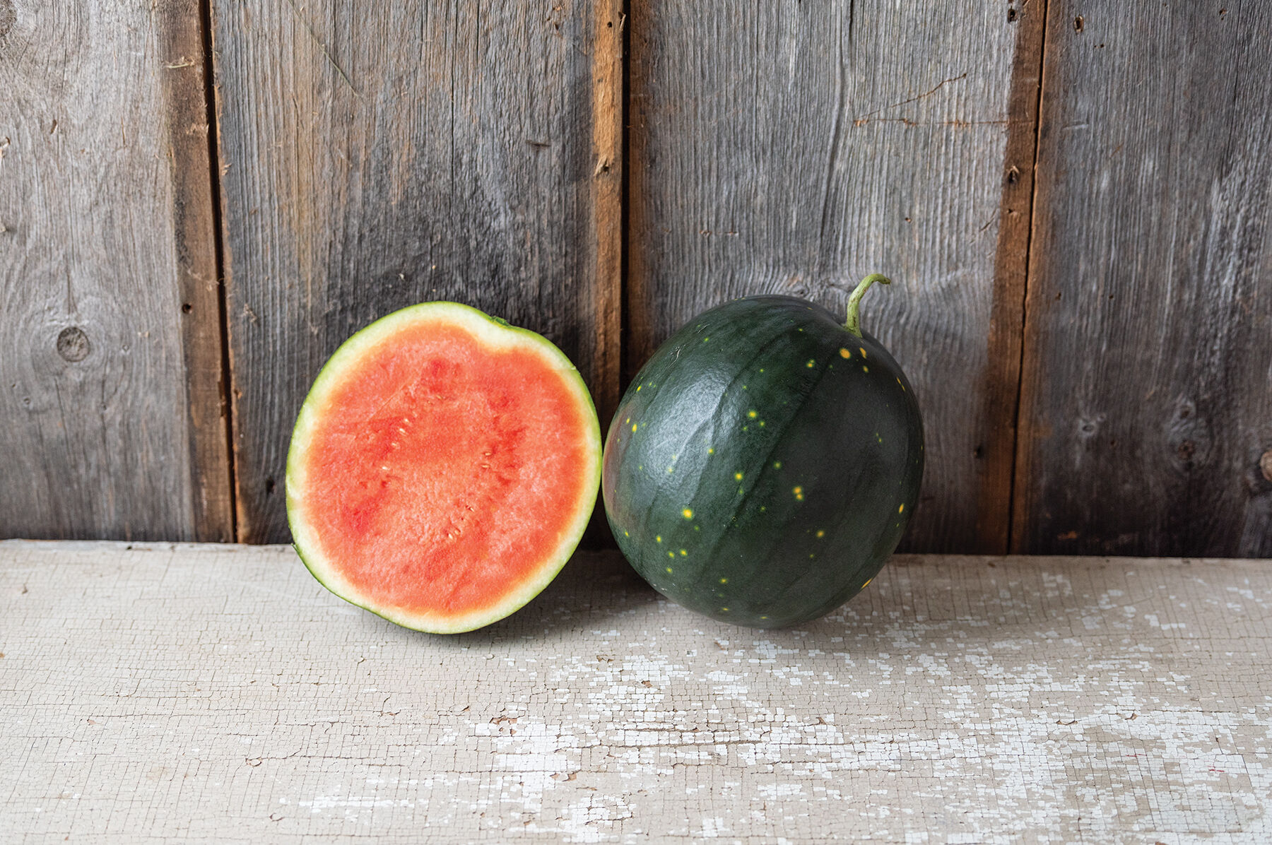 大特価 意味 Star Century - Seeds Selected Johnny's | Watermelon Seedless ルームウェア・パジャマ