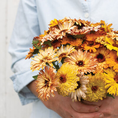 Flashback Mix Calendula