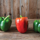 Nitro Sweet Bell Peppers