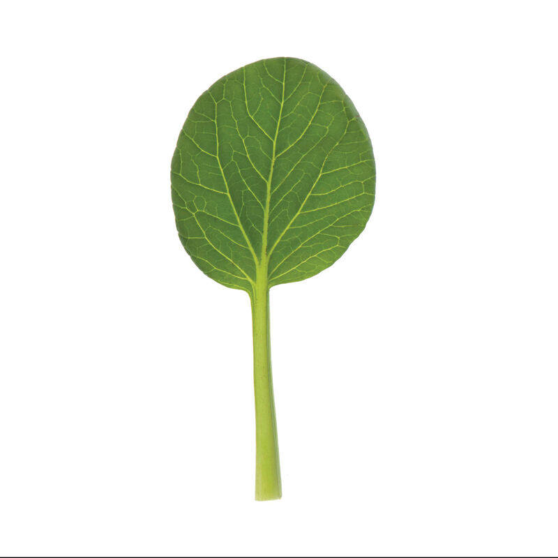 Koji Koji Asian Greens
