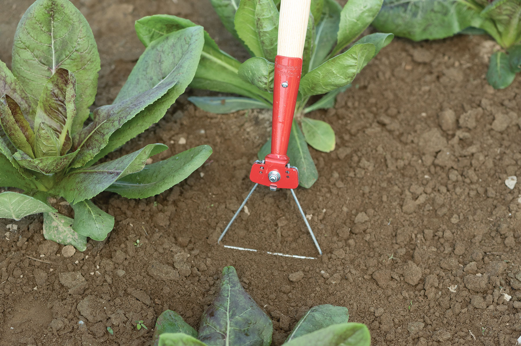 Wire weeder discount