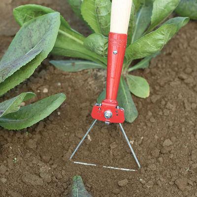 Delta Wire Hoe Weed Control