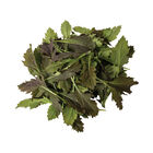 Red Baron Plus Asian Greens