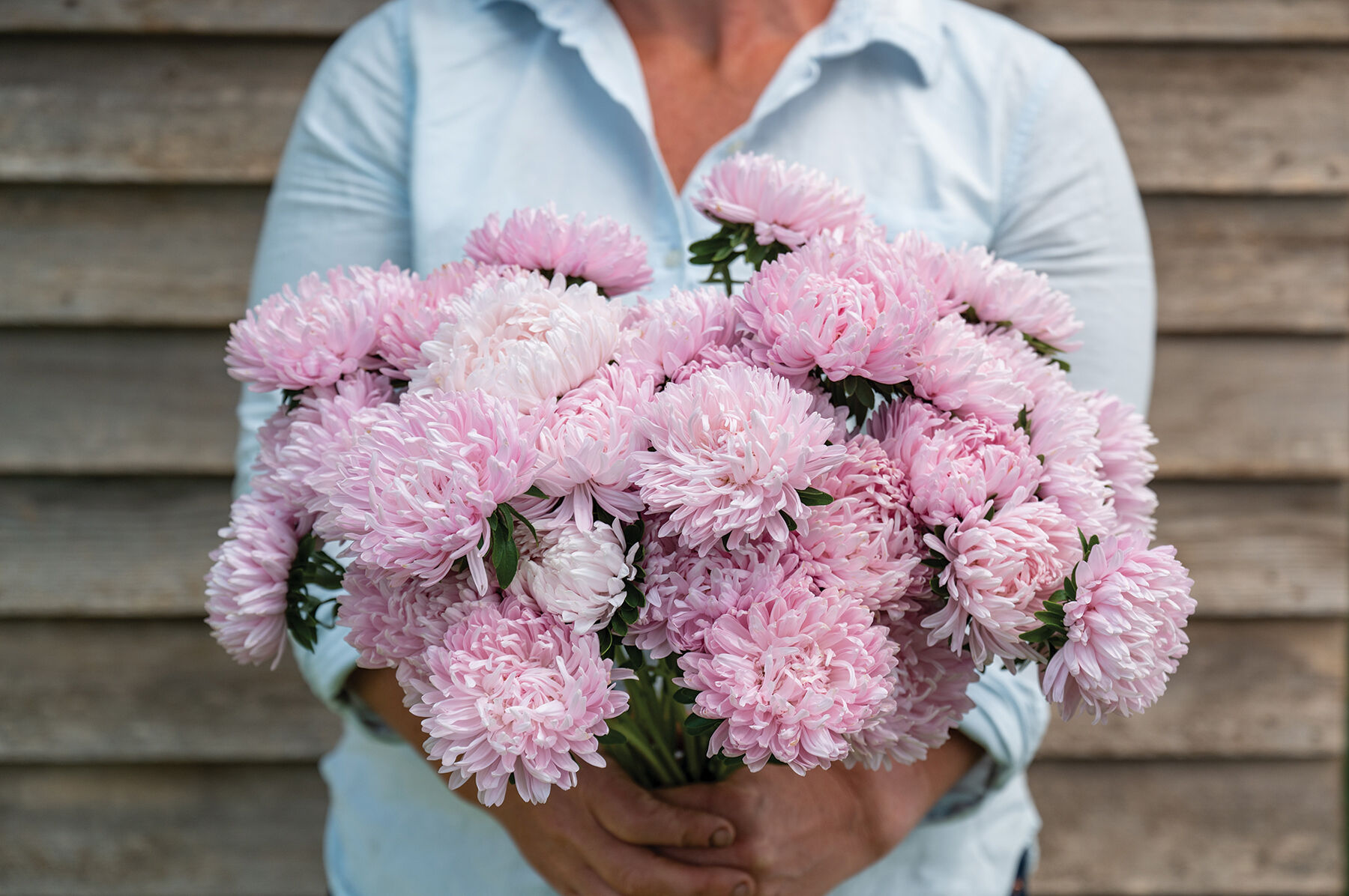 Souffle Light Pink