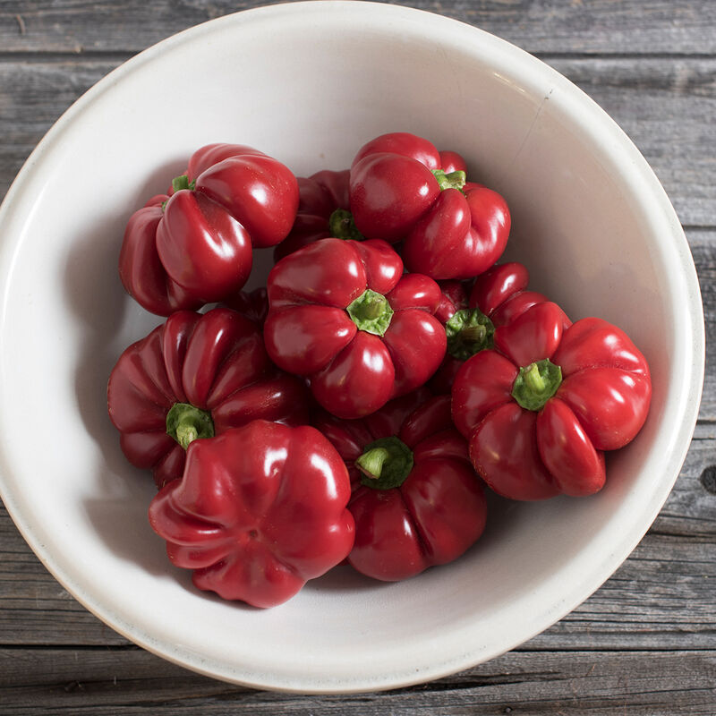 Round of Hungary Sweet Peppers