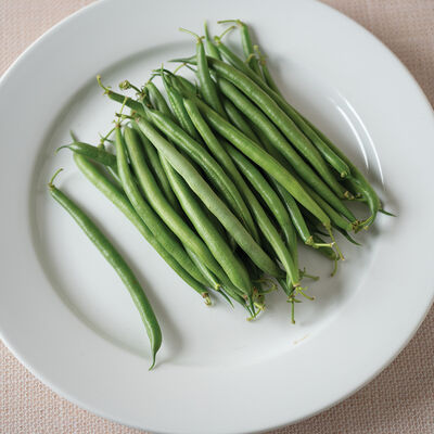 Red Tail Bush Beans