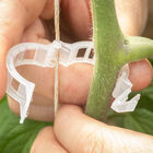 Tomato Trellis Clips – 500 Count Tomato Trellis Clips – 500 Count Clips