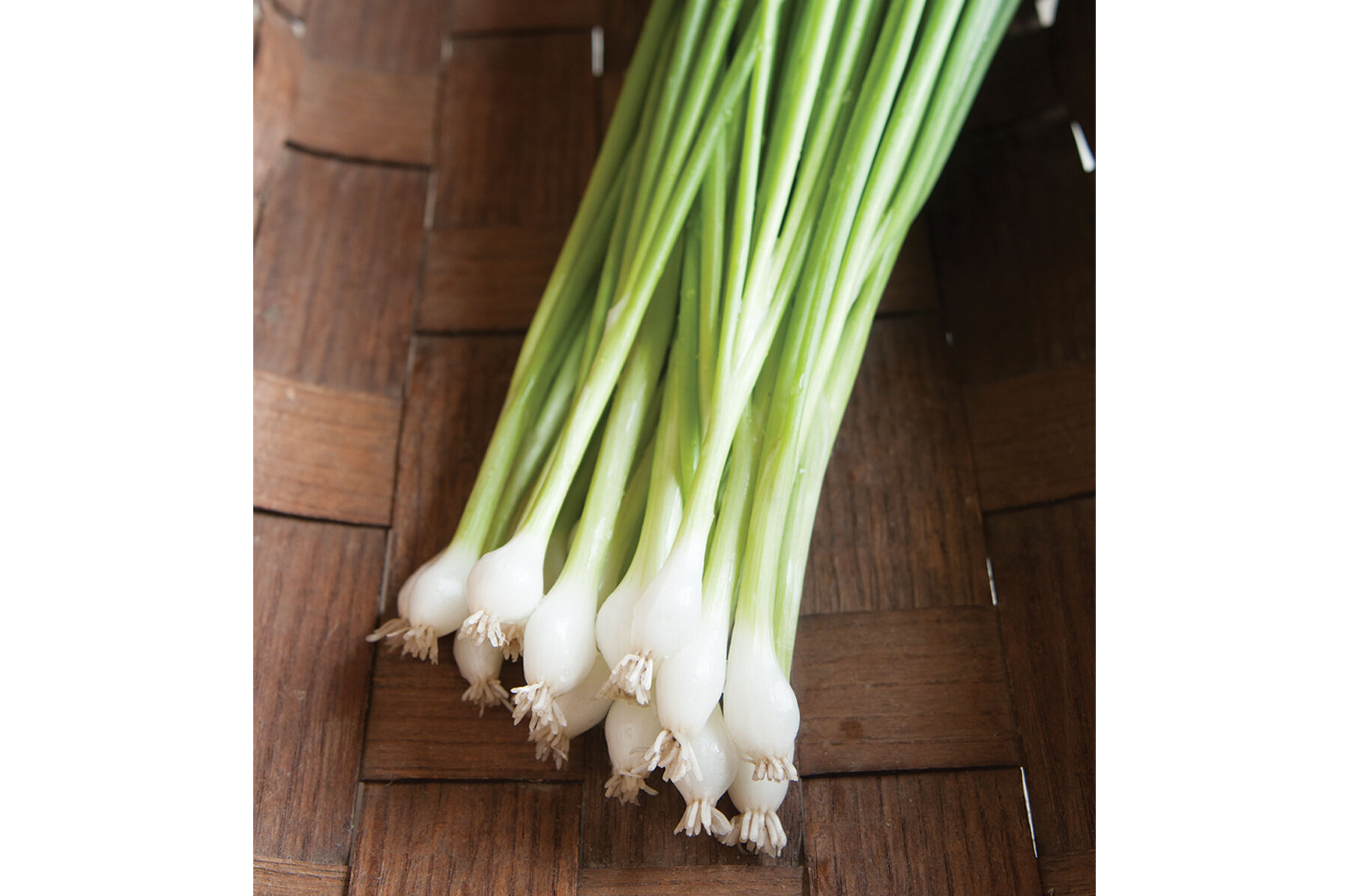 Guardsman Bunching Onions