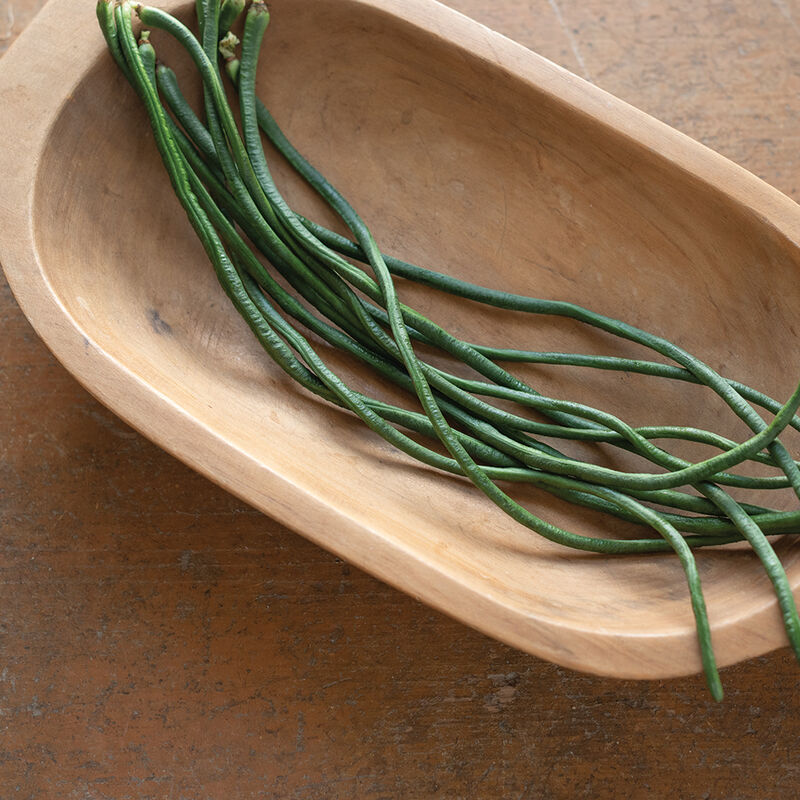 Python Python Pole Beans