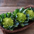 Delaverde Romanesco Cauliflower