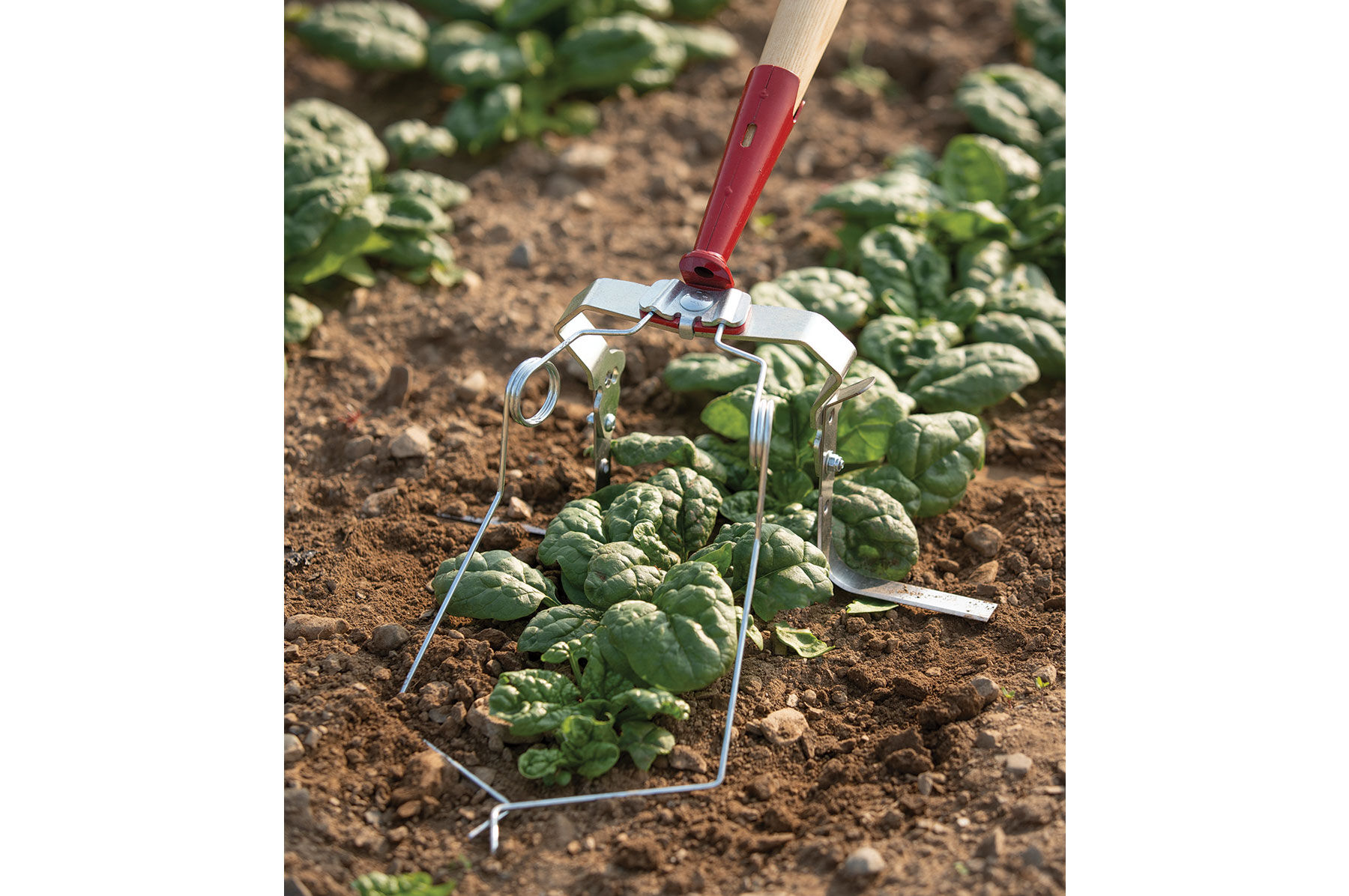 Spring Hoe &ndash; 4.7" Stacked Tools