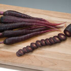 Deep Purple Main Crop Carrots