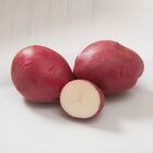 Strawberry Paw Potatoes