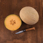 Triton Cantaloupe (Muskmelon)