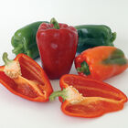 Ace Ace Sweet Bell Peppers