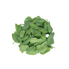 Space Smooth-Leaf Spinach