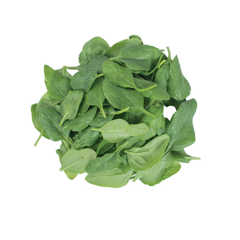 Space Smooth-Leaf Spinach
