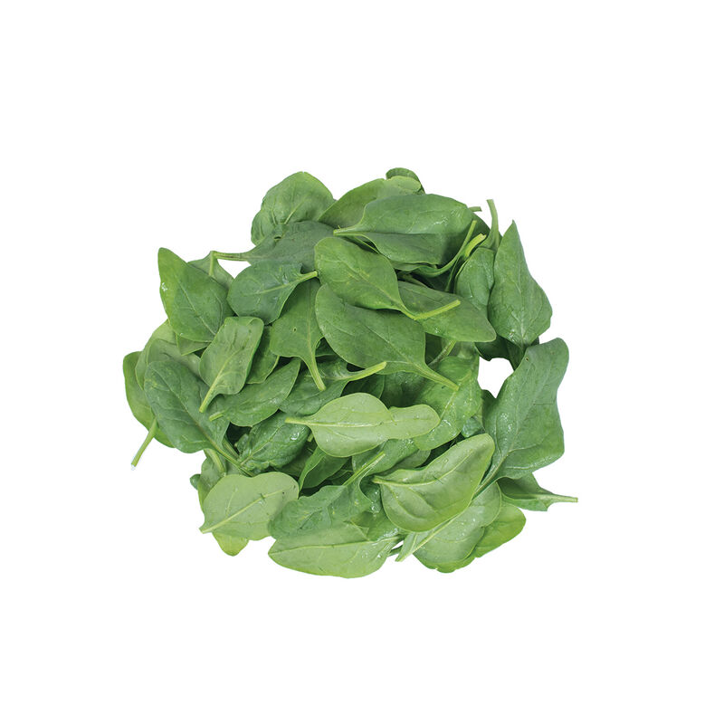 Space Smooth-Leaf Spinach