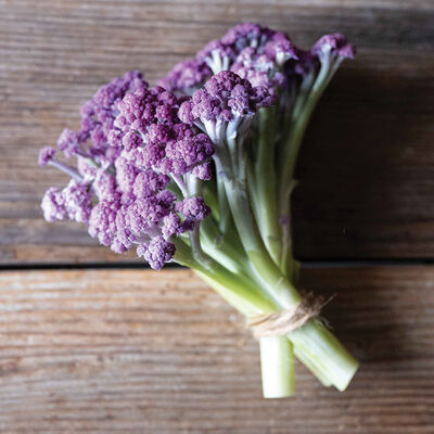 Murasaki Fioretto 70 Sprouting Cauliflower