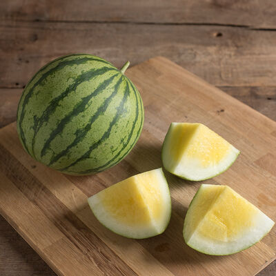 Amarillo Triploid Watermelons (Seedless)