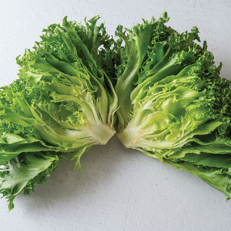 Danstar CrunchLeaf Lettuce