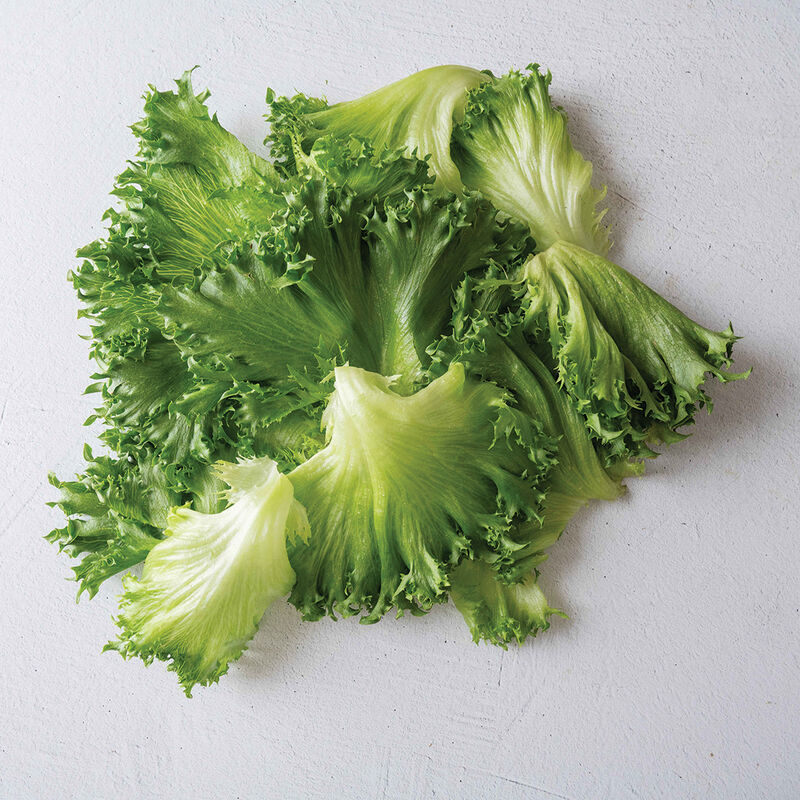 Danstar CrunchLeaf Lettuce