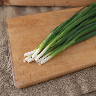 Yago Bunching Onions