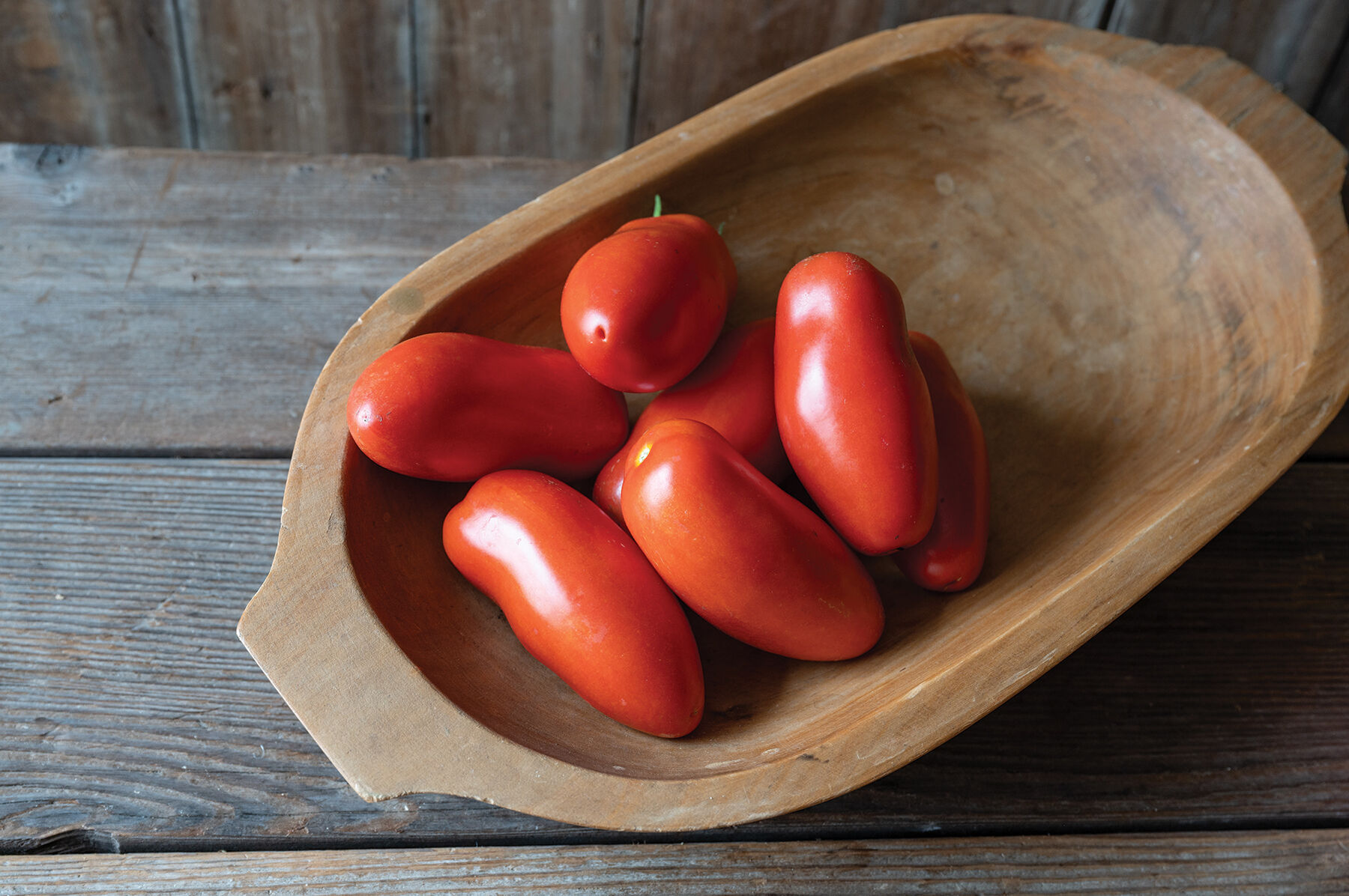 ★TAMATO★ Pozzano - (F1) Tomato Seed | Johnny's Selected Seeds