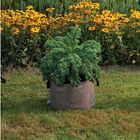 Smart Pot® Natural – 15 Gal. Grow Bags