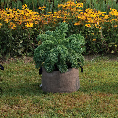Smart Pot® Natural – 15 Gal. Grow Bags